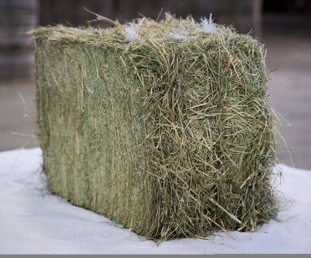 FOIN DE PRAIRIE 23,5KG