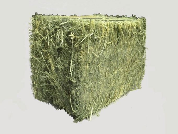 FOIN DE LUZERNE 23KG