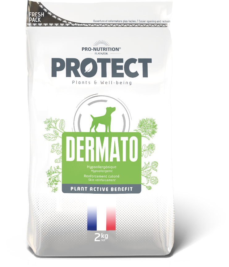 PROTECT CHIEN DERMATO 2KG