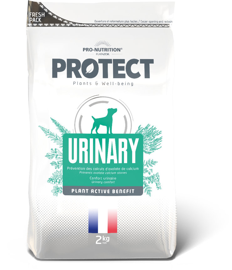 PROTECT CHIEN URINARY 2KG C/4