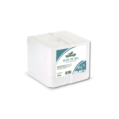 [DY20] PIERRE DE SEL 10KGS