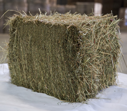 [FC03] FOIN DE CRAU 23,5KG