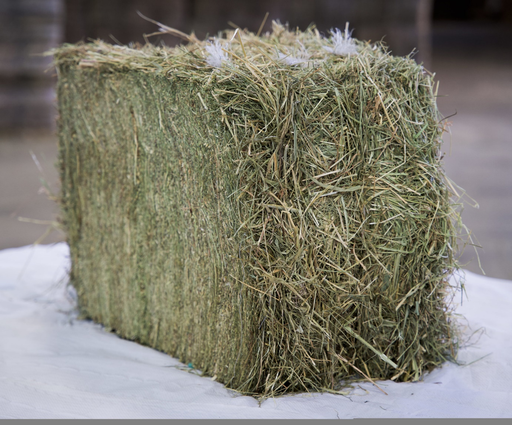 [FC07] FOIN DE PRAIRIE 23,5KG