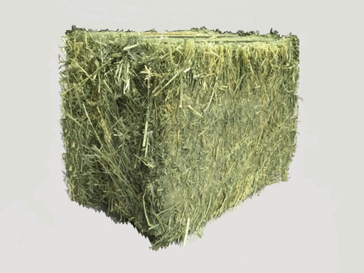 [FC22] FOIN DE PRAIRIE 22,5KG